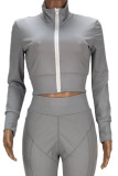 Grey Casual Solid Patchwork Zipper Zipper Collar Long Sleeve Two Pieces