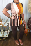 Deep Coffee Casual Striped Tassel Patchwork Slit O Neck Plus Size Two Pieces
