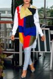 Multicolor Fashion Casual Patchwork Basic Turndown Collar Long Sleeve Shirt Dress