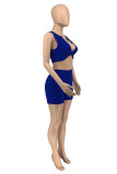 Blue Sexy Casual Solid Basic V Neck Sleeveless Two Pieces