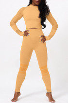Желтый Повседневная спортивная одежда Однотонный Базовый с круглым вырезом Длинный рукав Из двух частей