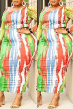 Multicolore Fashion Casual Print Basic O Neck Plus Size Two Pieces