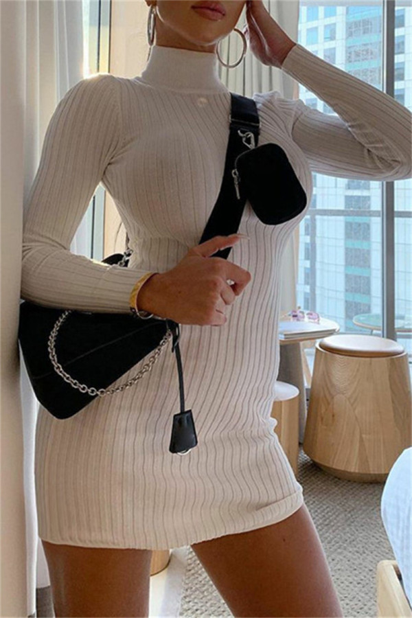 Weiß Mode Lässig Solide Grundlegende Rollkragen Langarm Kleider