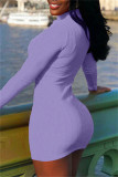 Фиолетовые модные повседневные однотонные базовые платья с длинными рукавами и высоким воротником