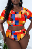 Stripe Fashion Casual Print Basic O Neck Plus Size Swimwear