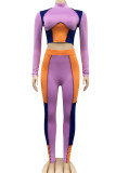 Purple Sexy Solid Patchwork Mandarin Collar Long Sleeve Two Pieces