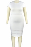 Белая повседневная элегантная однотонная лоскутная юбка с круглым вырезом и одной ступенькой Платья больших размеров