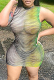 Green Fashion Sexy Print See-through O Neck Sleeveless Dress Dresses