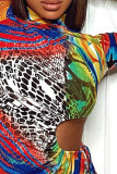 Цветной сексуальный принт в стиле пэчворк с разрезом и половиной водолазки платья