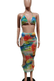 Multicolor Sexy Print Hollowed Out Patchwork See-through Halter Sleeveless Two Pieces
