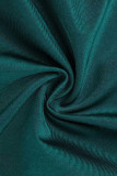 Green Fashion Sexy Solid Fold Half A Rollkragen-Langarmkleider