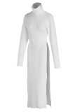White Solid Patchwork Slit Turtleneck Straight Dresses