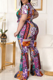 Multicolor Fashion Casual Print Patchwork O Neck Plus Size Two Pieces