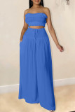 Blue Sexy Solid Patchwork Stringy Selvedge Strapless Sleeveless Two Pieces