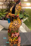 Vestidos de manga comprida com estampa de leopardo moda casual estampa básica gola alta