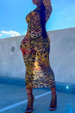 Leopardtryck Mode Casual Print Basic Långärmade klänningar med turtleneck