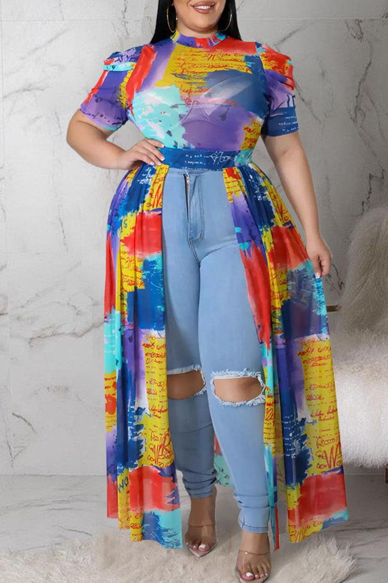 

Multicolor Sexy Print Patchwork See-through Asymmetrical Mandarin Collar Straight Plus Size Dresses