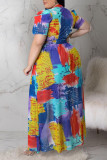 Multicolor Sexy Print Patchwork See-through Asymmetrical Mandarin Collar Straight Plus Size Dresses