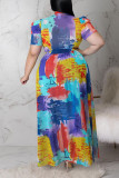 Multicolor Sexy Print Patchwork See-through Asymmetrical Mandarin Collar Straight Plus Size Dresses