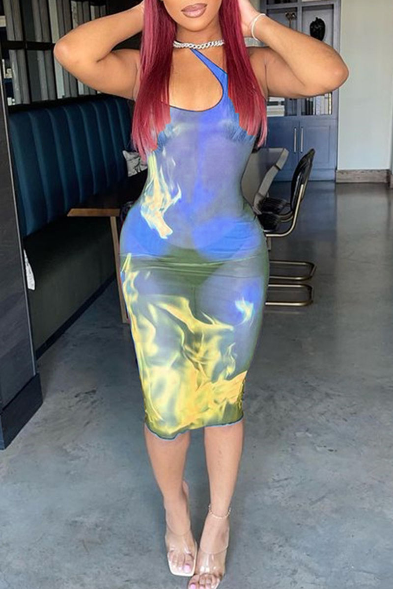 

Light Blue Sexy Print Split Joint See-through Asymmetrical Collar Pencil Skirt Dresses