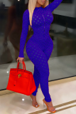 Blå Sexig genomskinlig mesh dragkedja med krage Skinny Jumpsuits