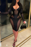 Schwarze Mode Sexy Patchwork durchsichtiger V-Ausschnitt Langarm Kleider in Übergröße