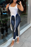 Blue Sexy Solid Mesh Skinny High Waist Solid Color Bottoms