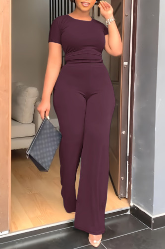 Purple Fashion Casual Solid Basic O Neck Short Sleeve Two Pieces