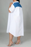Blanc Casual Solide Patchwork Fermeture Éclair Col Droit Plus La Taille Robes