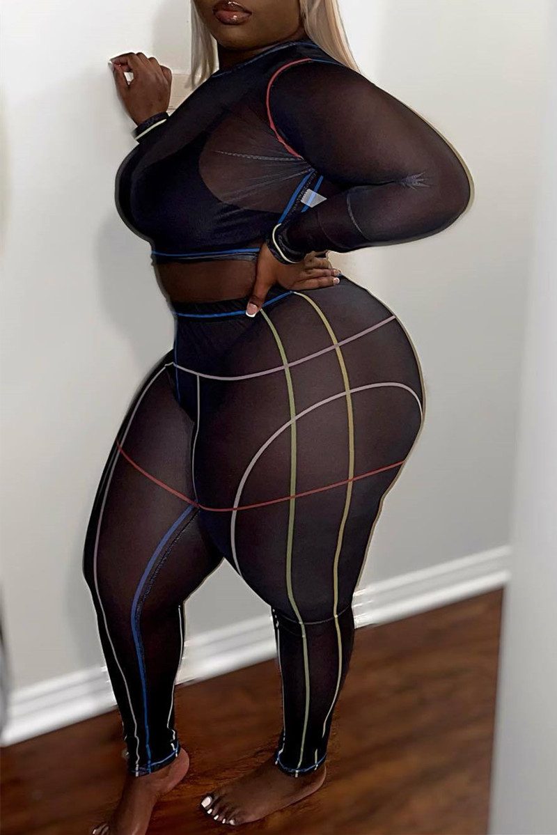 

Black Fashion Sexy Plus Size Solid See-through O Neck Long Sleeve Two Pieces