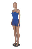 Blue Sexy Solid Mesh Spaghetti Strap Sleeveless Two Pieces