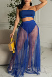 Blue Sexy Solid Patchwork See-through Strapless Sleeveless Two Pieces