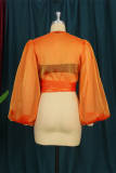 オレンジファッションセクシーカジュアルソリッド包帯シースルーVネックトップス