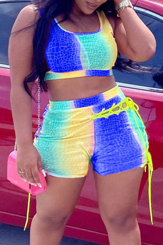 Blue Sexy Print Bandage Hollowed Out Patchwork U Neck Sleeveless Two Pieces