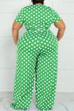 Moda verde Casual Dot Print vendaje O cuello más tamaño dos piezas