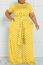 Faixa Amarela Moda Casual com Impressão de Pontos O Pescoço Plus Size Duas Peças