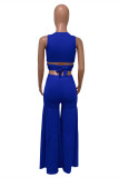 Blue Fashion Casual Solid Hollowed Out Patchwork Backless V Neck Sleeveless Two Pieces
