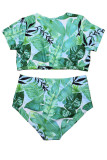Green Fashion Sexy Print Basic V Neck Plus Size Swimwear Three-piece Set (With Paddings)