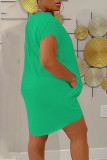 グリーン カジュアル ソリッド パッチワーク Oネック ストレート ドレス