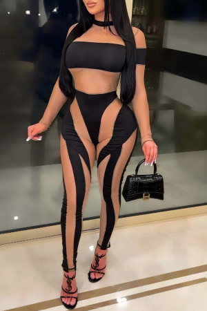 Zwarte sexy skinny jumpsuits met effen mesh en O-hals