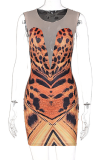 Sexy Leoparden-Mesh-O-Ausschnitt-Bleistiftrock-Kleider mit Leopardenmuster