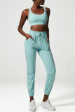 Cyan Casual Sportswear Feste Patchwork-Hose mit normaler hoher Taille