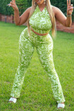 Зеленый сексуальный принт в стиле пэчворк с V-образным вырезом без рукавов из двух частей