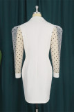 White Fashion Casual Patchwork See-through Turndown Collar Long Sleeve Dresses