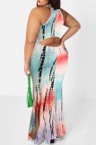 Baby Blue Fashion Sexy Print Hollowed Out O Neck Sleeveless Dress Plus Size Dresses