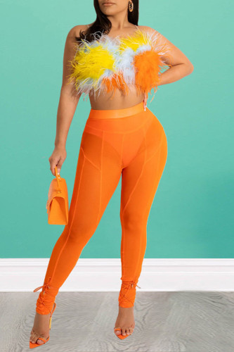 Tangerine Sexy Solid Patchwork See-through Feathers Spaghetti Strap Sleeveless Two Pieces