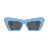 Blauwe modieuze casual effen patchwork-zonnebril