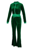 インクグリーン カジュアル ソリッド パッチワーク ジッパーカラー 長袖 ツーピース