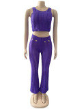 Purple Sexy Solid Hollowed Out Patchwork O Neck Sleeveless Two Pieces