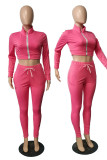Pink Casual Solid Patchwork Zipper Zipper Collar Long Sleeve Two Pieces